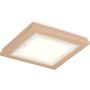 Argon TABOR 1871 Plafondlamp 4x15W/E27 ip20