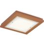 Argon TABOR 7268 Plafondlamp 2x15W/E27 ip20
