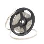 SMD LED HOMEline TAS4625SLL LED-strip 120x9,7W/m/LED 3000K 880 lm/m IP20