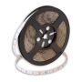 SMD LED PROline TAS4182SLL LED-strip 60x6W/m/LED 3000K 650 lm/m IP66