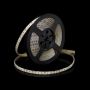 SMD LED PROline TAS4274SLL LED-strip 120x12W/m/LED 4000K 1440 lm/m IP66