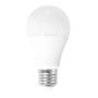 SMD LED HOMEline ZAR4816SLL Gloeilamp 1x15W/E27 3000K 2100lm IP20