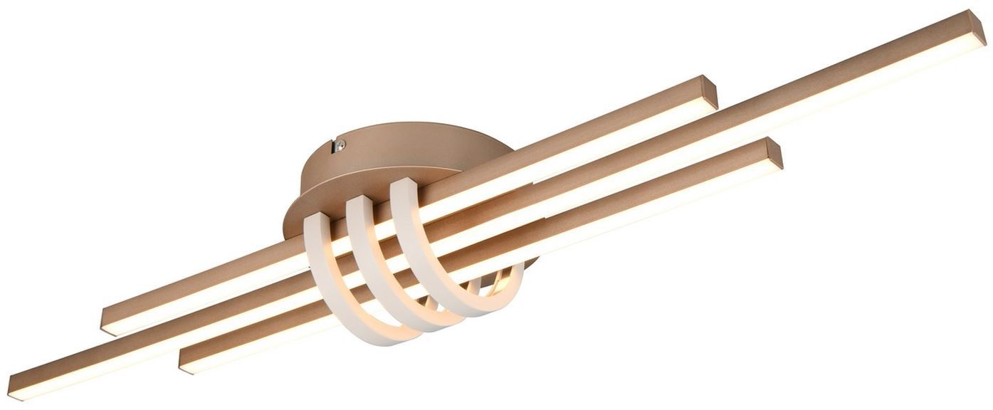 TRIO-CINTO-R67873165-TRIR67873165