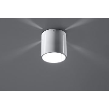 Sollux INEZ SL.0355 Opbouwspot 1x40W/G9