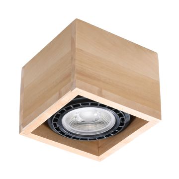 Sollux QUATRO 1 SL.0915 Plafondlamp 1x40W/GU10 IP20