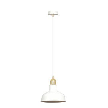 Emibig IBOR 1043/1 Hanglamp 1x15W/E27 IP20