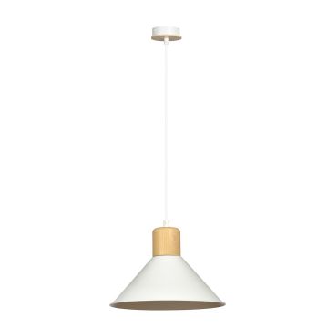 Emibig ROWEN 1045/1 Hanglamp 1x15W/E27 IP20