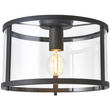 Endon Hopton 101540 Plafondlamp 1x10w/e27 ip20