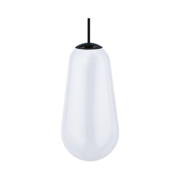 Nowodvorski CAMELEON PEAR L 10328 Glazen kap
