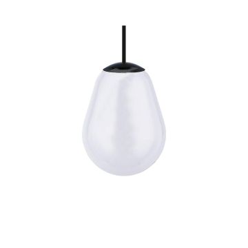 Nowodvorski CAMELEON PEAR S 10331 Glazen kap