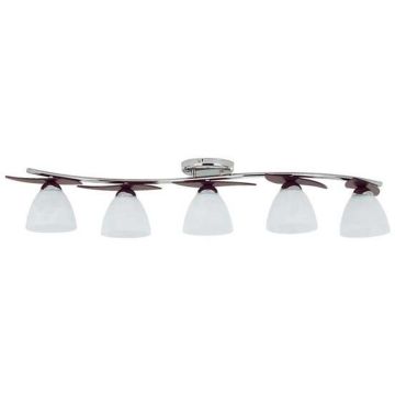 Alfa ARCHIMEDES 11955 Plafondlamp 5x15W/E27