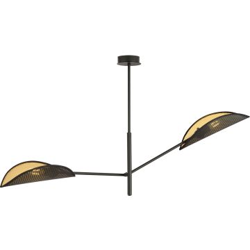 Emibig VENE 1158/2 Plafondlamp 2x40W/E14 IP20