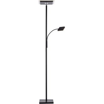 Paul Neuhaus HANS 11710-18 Staande lamp 2x31,5W/LED 3000k 2500lm ip20