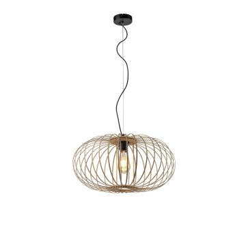 Paul Neuhaus RACOON 11409-79 Hanglamp 1x60W/E27 IP20