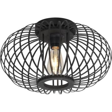 Paul Neuhaus RACOON 11410-18 Plafondlamp 5x40W/E27 ip20