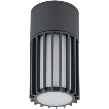 TK Lighting RIBO 11508 Opbouwspot 1x15W/E27 IP54