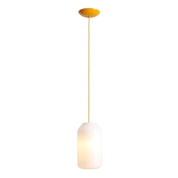 Aldex FLASK MIMOSA M 8500G21_M Hanglamp 1x15W/E27
