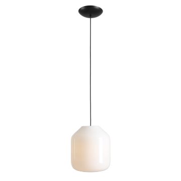 Aldex FLASK ORCHID L 8500G1_L Hanglamp 1x15W/E27