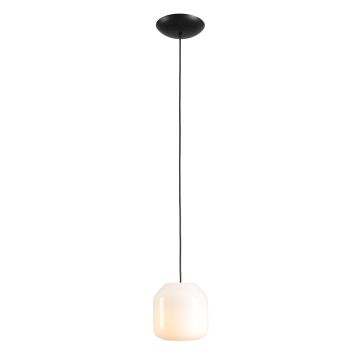 Aldex FLASK ORCHID S 8500G1_S Hanglamp 1x10W/E14