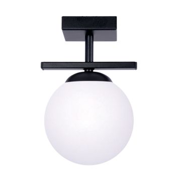 Zuma Line GLOBE 1210 Plafondlamp 1x10W/E14 IP20