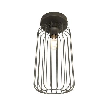 Emibig BARN 1367/1 Plafondlamp 1x15W/E27 IP20