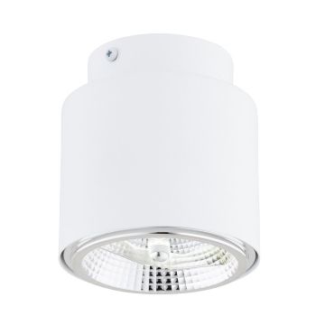 Emibig NANO 1311/1 Opbouwspot 1x15W/GU10 AR111 IP20