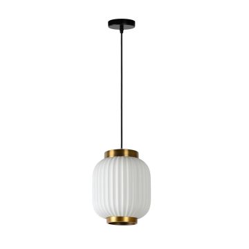 Lucide GOSSE 13435/01/31 Hanglamp 1x40w/e27 ip20
