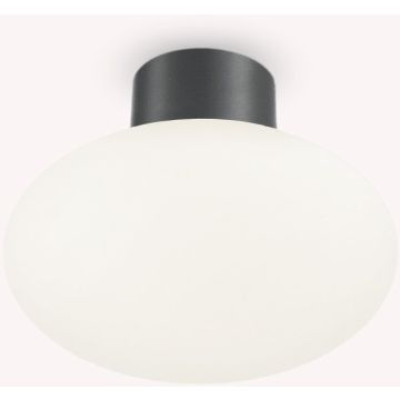 Ideal Lux CLIO 148861 Plafondlamp 1x42W/E27 ip44