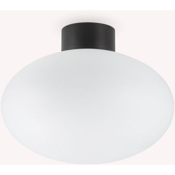 Ideal Lux CLIO 148878 Plafondlamp 1x42W/E27 ip44