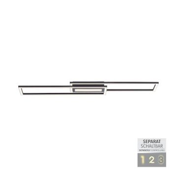 Paul Neuhaus ASMIN 14696-18 Plafondlamp 1x45W/LED 3000K 2900LM IP20
