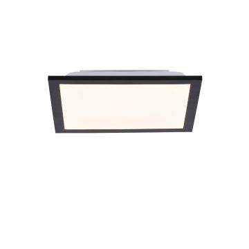 Paul Neuhaus FLAT 14740-18 LED-paneel 1x6W/LED 3000K 485LM IP20