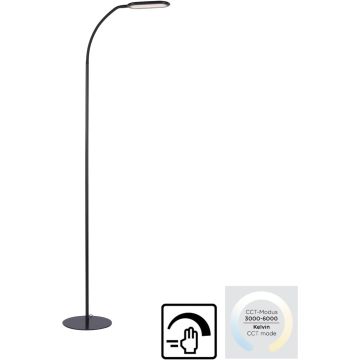 Paul Neuhaus KELLY 14406-18 Staande lamp 1x10W/LED 3000-6000k 1180lm ip20
