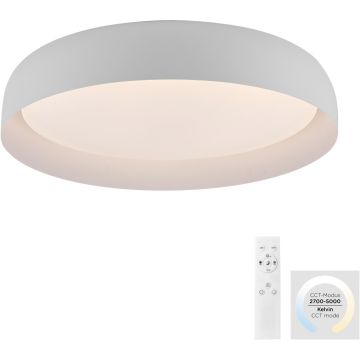 Paul Neuhaus OSKO 14216-16 Plafondlamp 1x40W/LED 2700-5000k 3850lm ip20