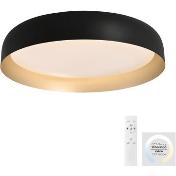 Paul Neuhaus OSKO 14216-18 Plafondlamp 1x40W/LED 2700-5000k 3850lm ip20