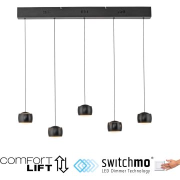Paul Neuhaus BALLINI 15262-18 Hanglamp 5x30W/LED 3000k 4000lm ip20