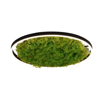 Paul Neuhaus GREEN RITUS 15392-66 Plafondlamp 1x28W/LED 3000k 960lm ip20