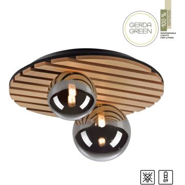 Paul Neuhaus GREEN STIKA 15208-79 Plafondlamp 2x5W/G9 ip20
