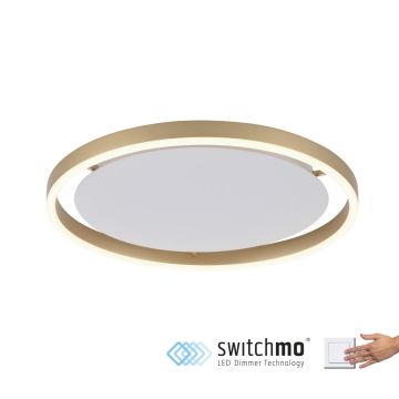Paul Neuhaus RITUS 15391-60 Plafondlamp 1x20W/LED 3000K 1060LM IP20