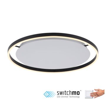 Paul Neuhaus RITUS 15392-13 Plafondlamp 1x28W/LED 3000K 1100LM IP20