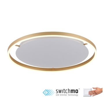 Paul Neuhaus RITUS 15392-60 Plafondlamp 1x28W/LED 3000K 1550LM IP20