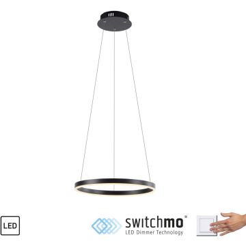 Paul Neuhaus RITUS 15393-13 Hanglamp 1x23,5W/LED 3000k 2650lm ip20