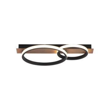 Paul Neuhaus TROOPER 15615-78 Plafondlamp 1x28W/LED 3000K 1000LM IP20