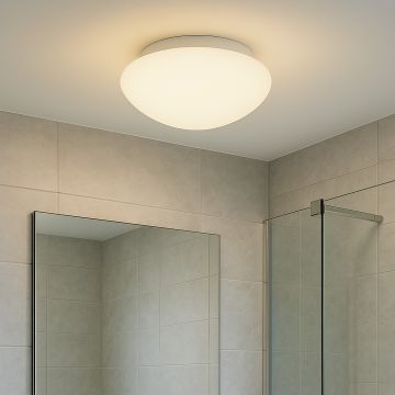 Prezent ASPEN I. 1500 Plafondlamp 1x60W/E27 IP44