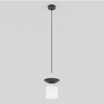 Emibig EGO 1613/1 Hanglamp 1x10W/E14 IP20