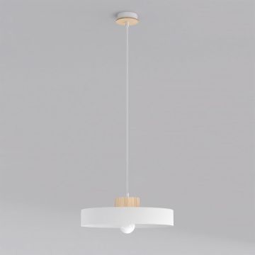 Emibig KIVI 1669/1L Hanglamp 1x15W/E27 IP20