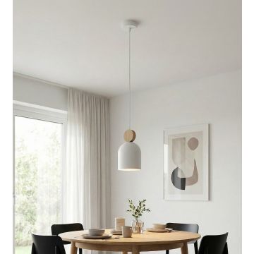Emibig MESI 1693/1 Hanglamp 1x8W/GU10 IP20