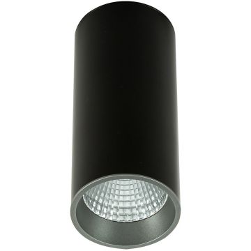 Italux Moldes Big BL/GR Celing 3000K SLC7392/12W 3000K BL+GR Opbouwspot 1x12W/LED 3000K 820lm IP20