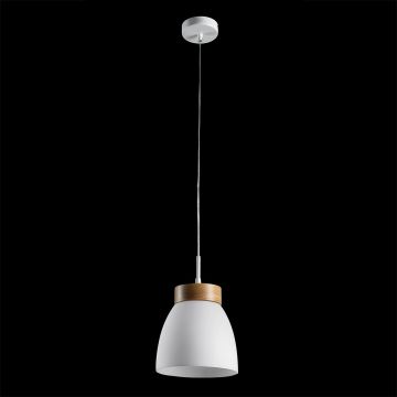 Prezent FOCUS 18068 Hanglamp 1x40W/E27 IP20