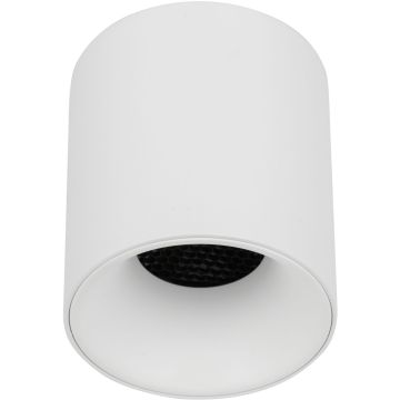 TK Lighting BLAZE 18157 Opbouwspot 1x12W/LED 3000/4000/6000 K 500lm IP20