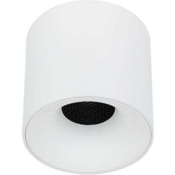 TK Lighting BLAZE 18161 Opbouwspot 1x30W/LED 3000/4000/6000 K 1493lm IP20